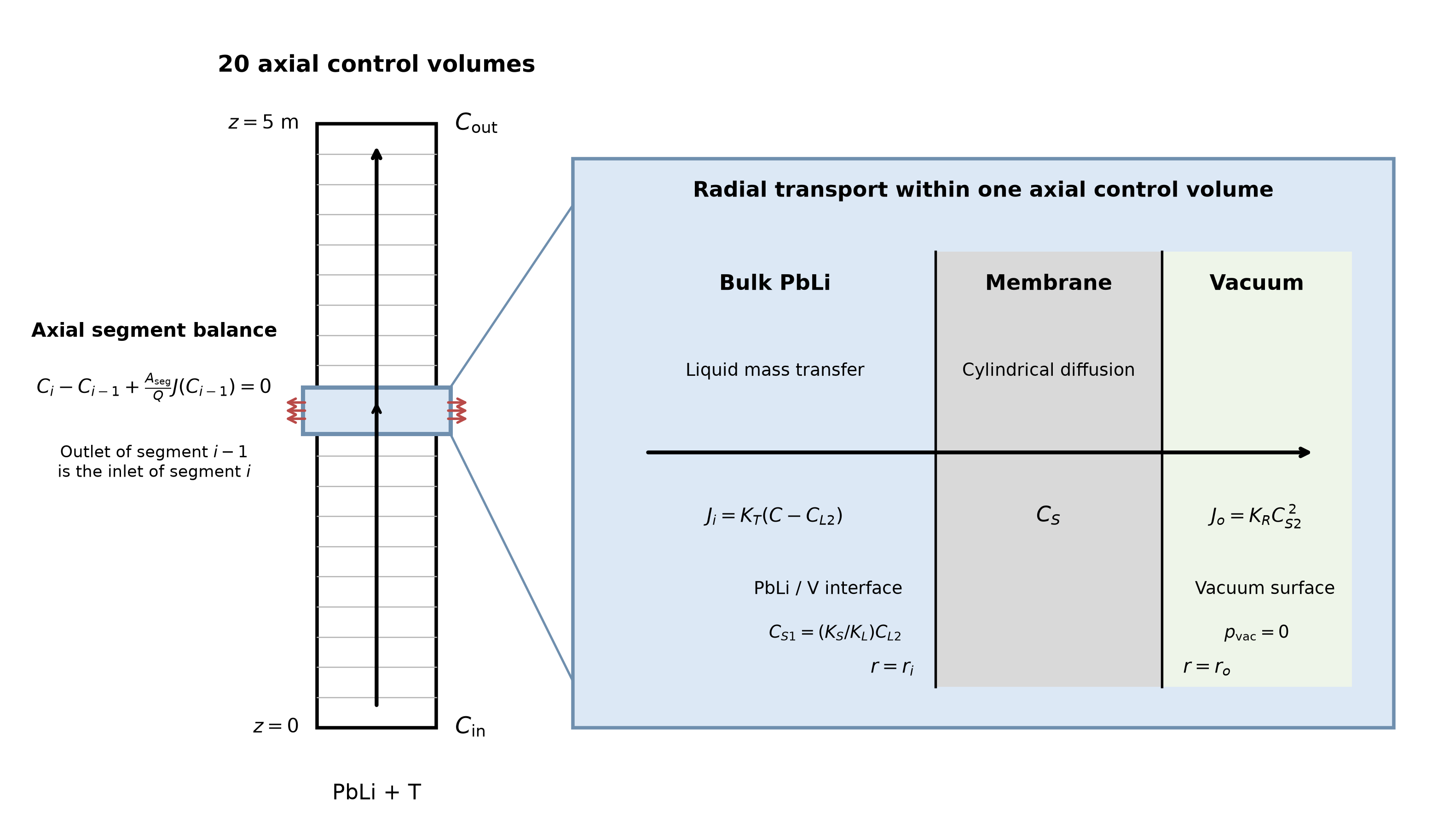 Schematic of the 20 axial control volumes and the radial transport model applied within each control volume.